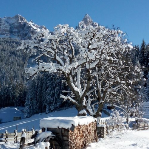 Impressionen vom Oberbühlhof in Eggen & Umgebung