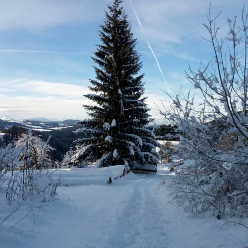 Impressionen vom Oberbühlhof in Eggen & Umgebung